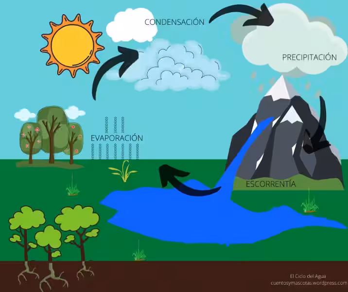 de-donde-proviene-el